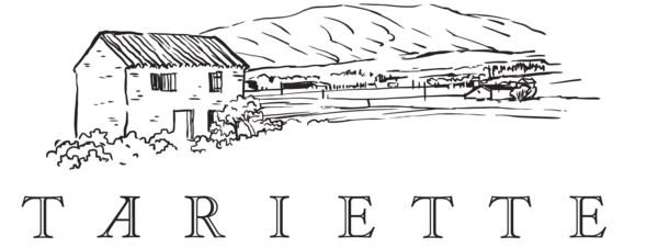 Tarietteuk