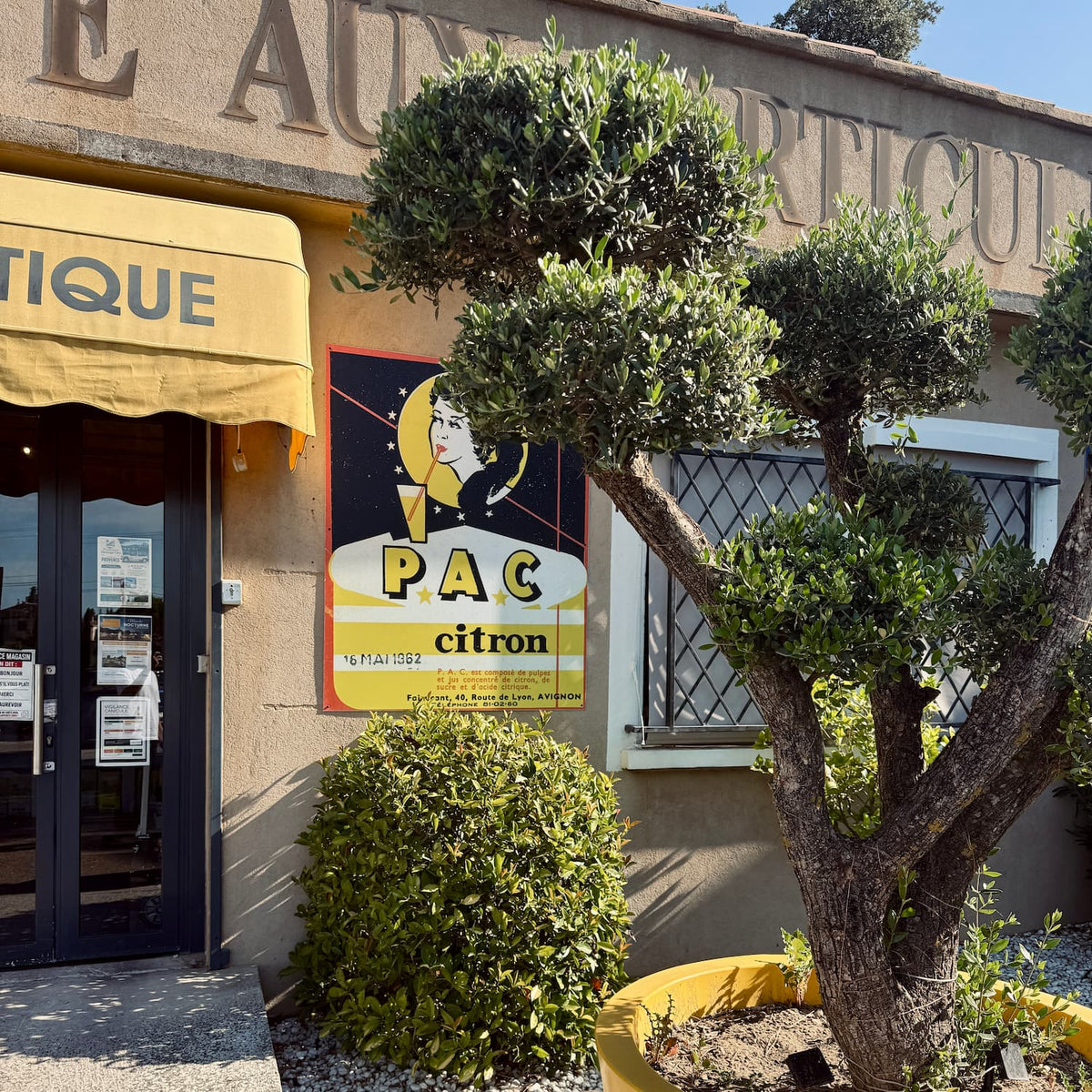 Distillerie Blachere, producer of Pac Citron in Provence