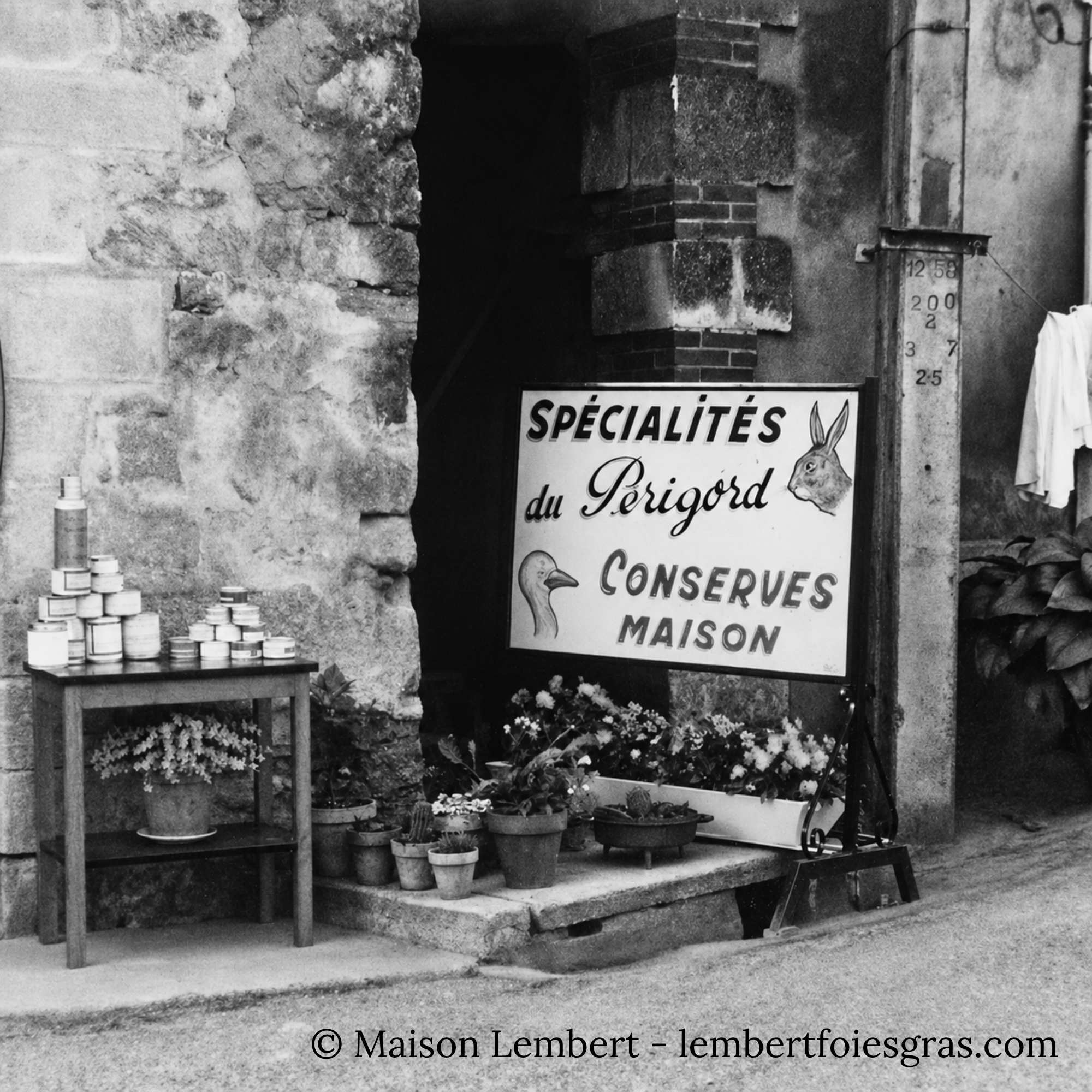tinned french food, canned food, love of french food in tins