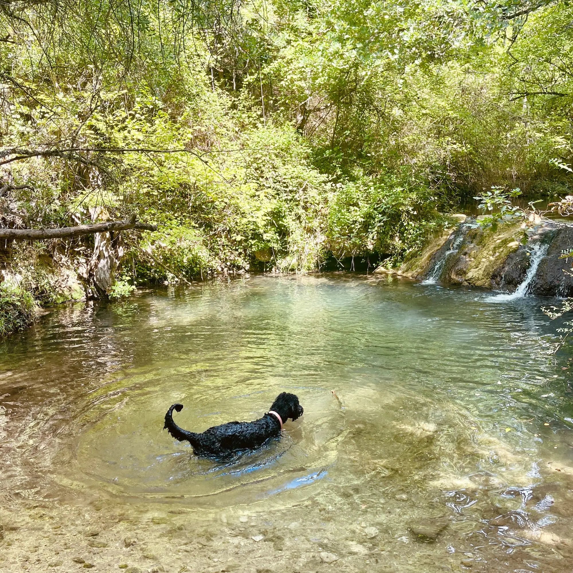 Cooling down in the Aiguebrun