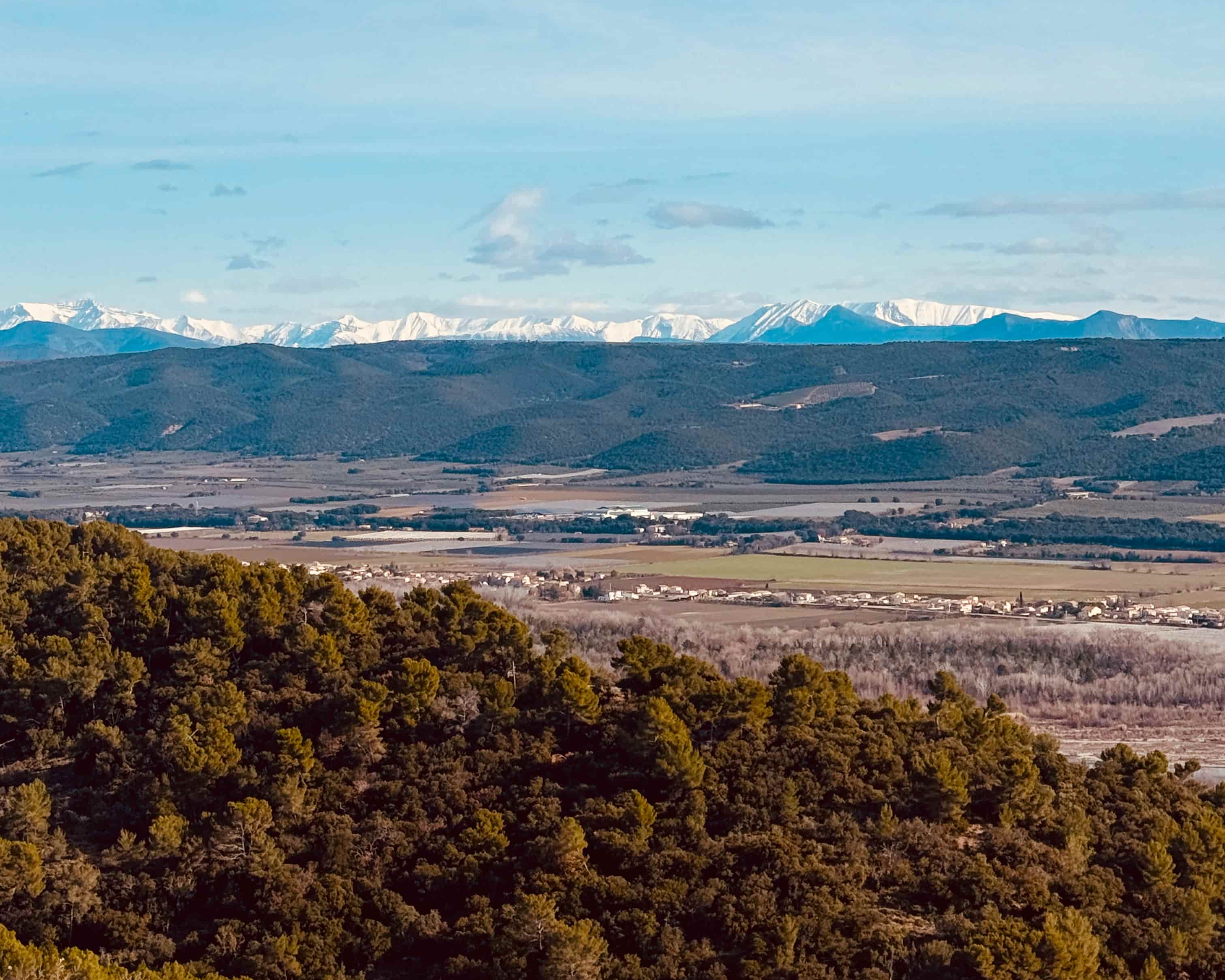 Tariette monthly shortlist