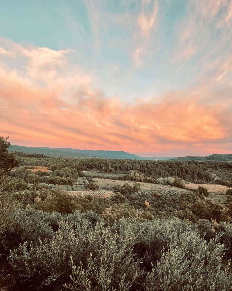 From the heart of our region