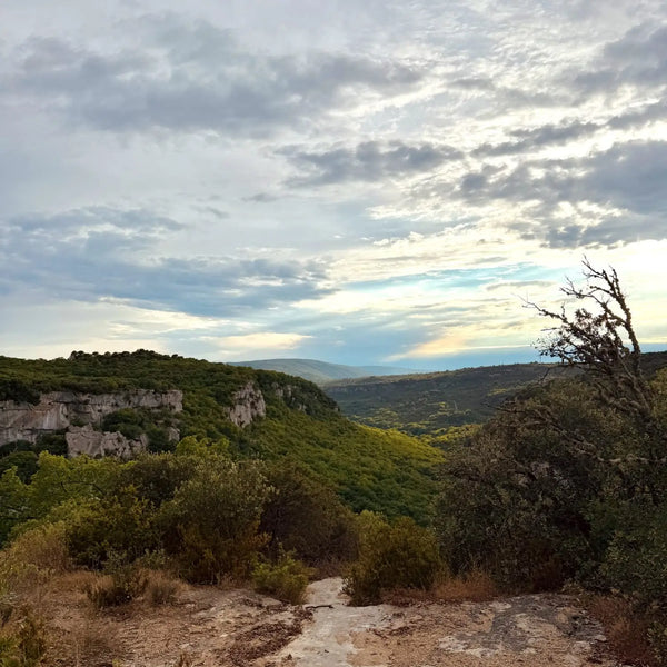 The view of the Aiguebrun valley from Sivergues