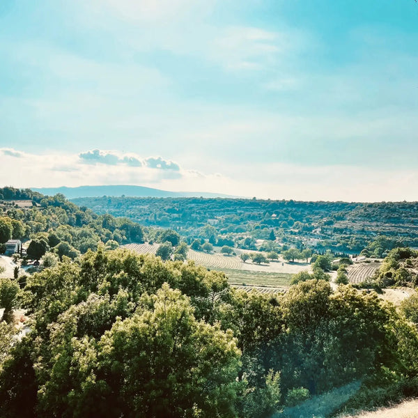 View of fields near Buoux