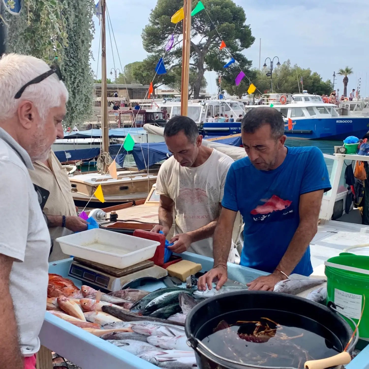 Fish market in Cassis
