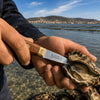 Oyster knife made in france in action