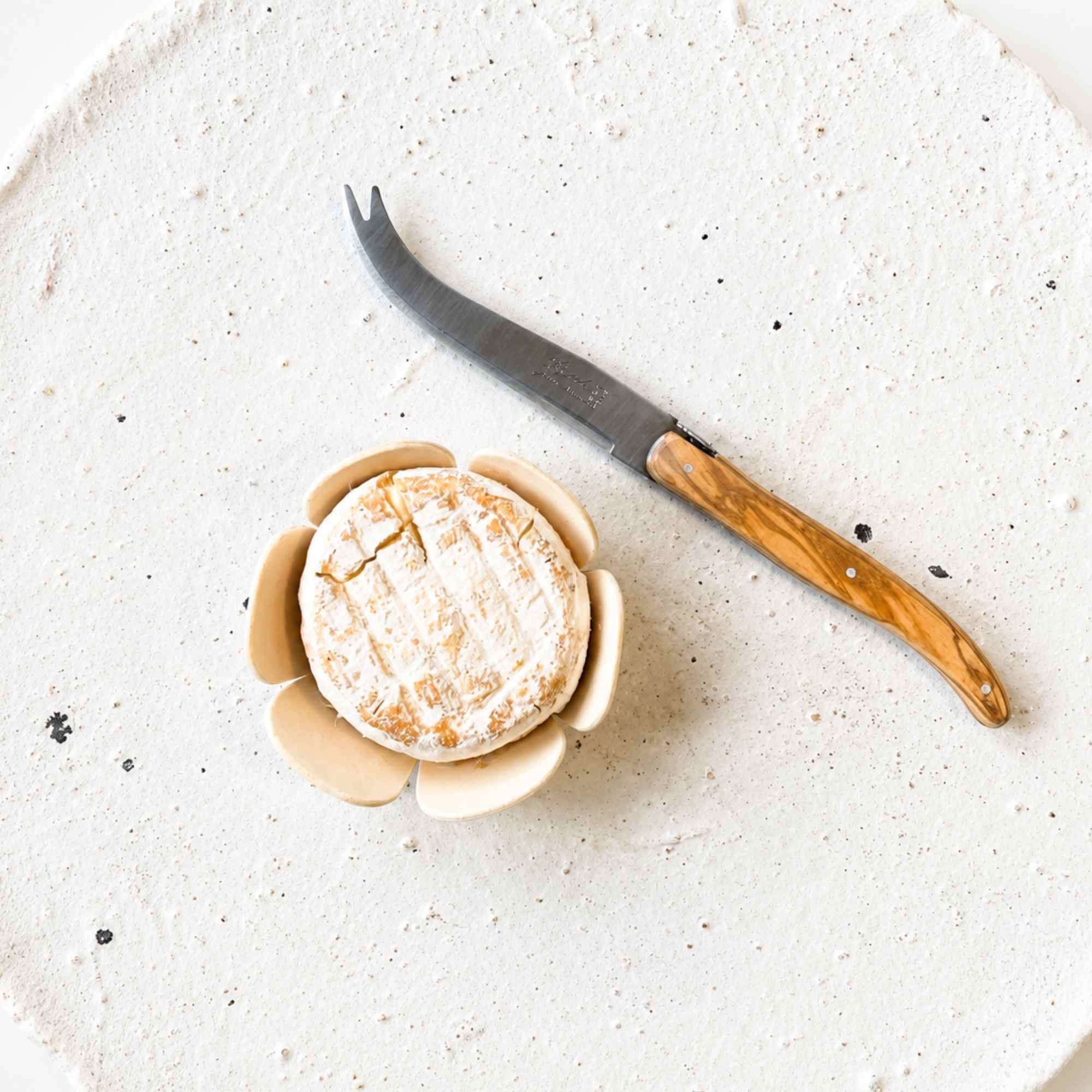 Laguiole cheese knife with olive wood handle made in France