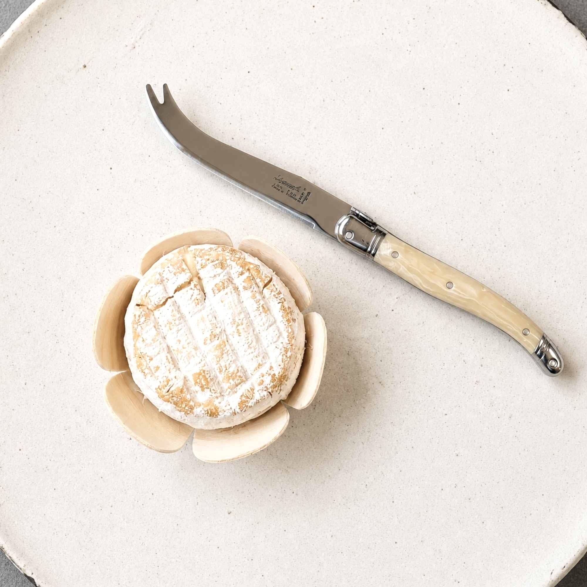 Laguiole cheese with with white horn ABS handle, made in France