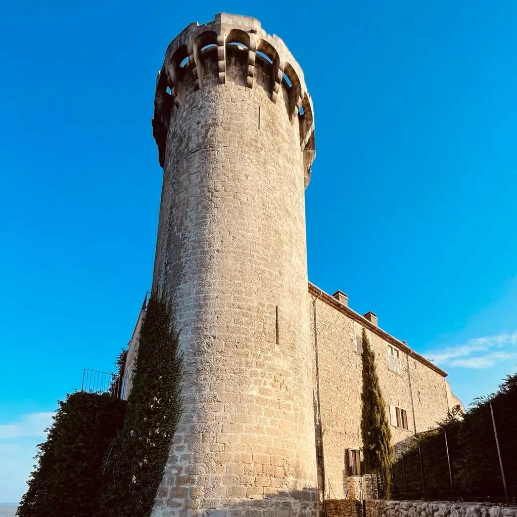 Chateau de Viens