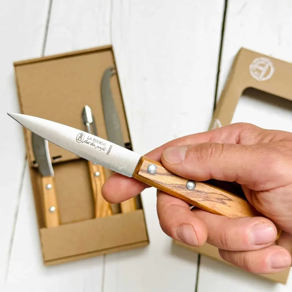 Hand holding a knife with wooden handle and metal blade, set against a white background.