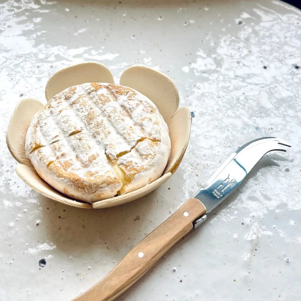 Close up on mini Laguiole cheese knife