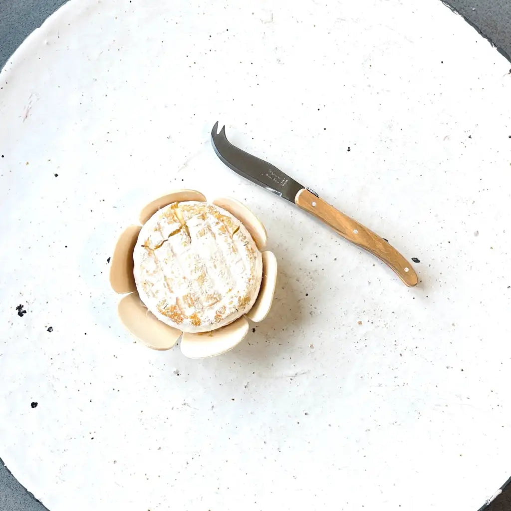 Mini cheese knife with olive wood handle next to cheese